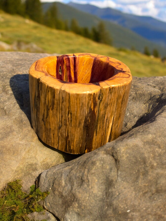 Live Cut Log Display Dish - Cedar