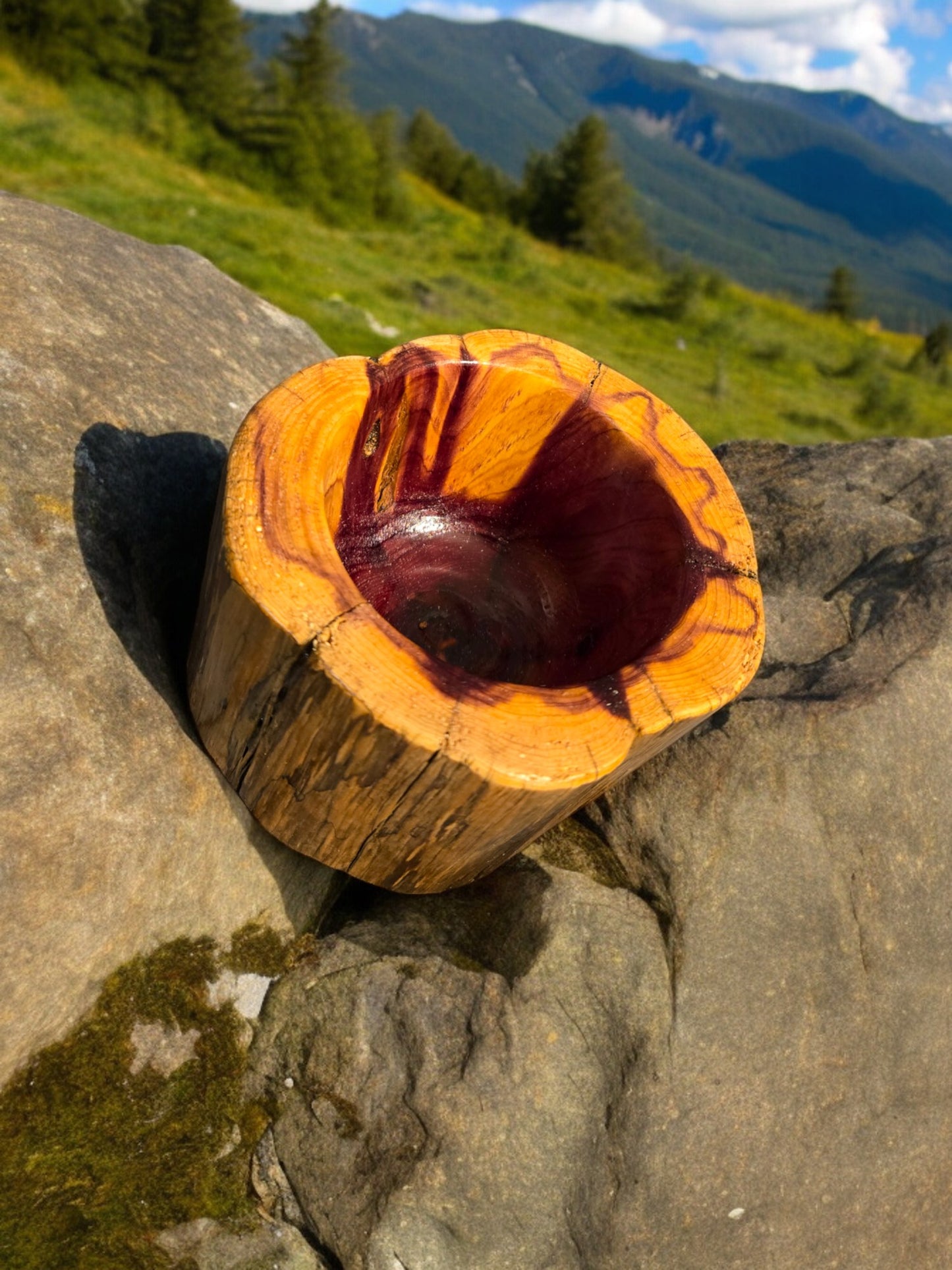 Live Cut Log Display Dish - Cedar