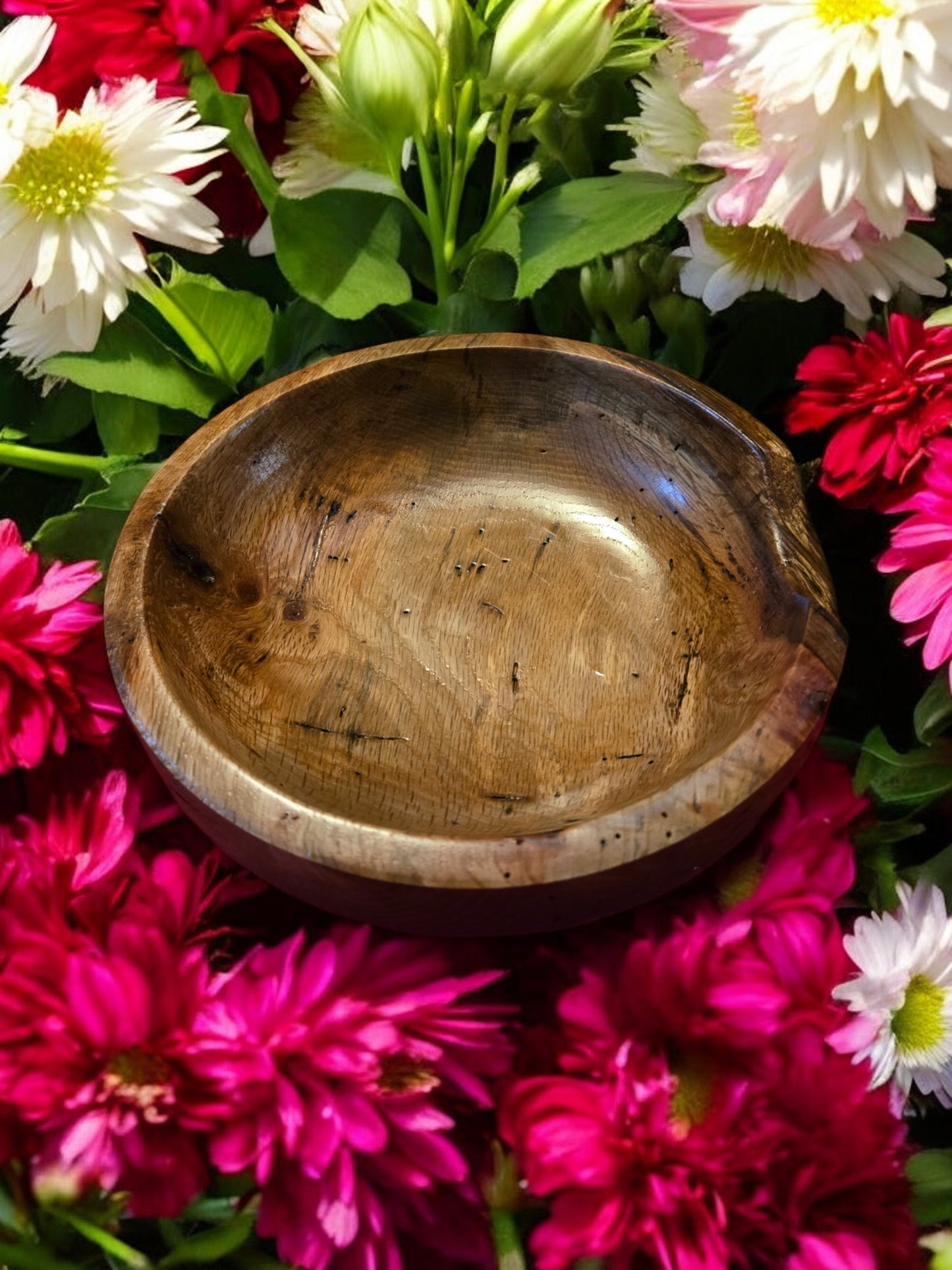 Large Red Oak Display Bowl