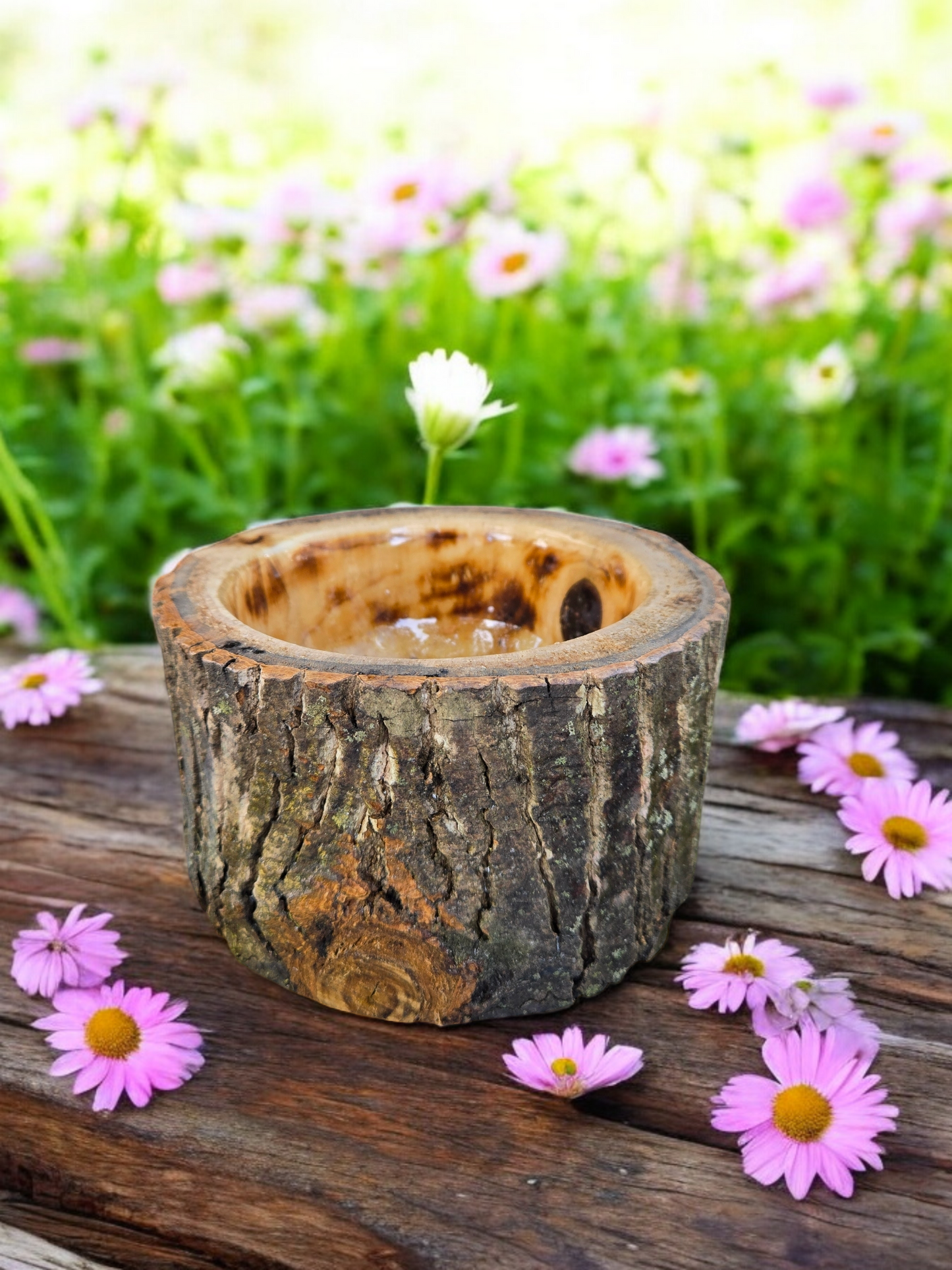 Poplar Live Edge Dish