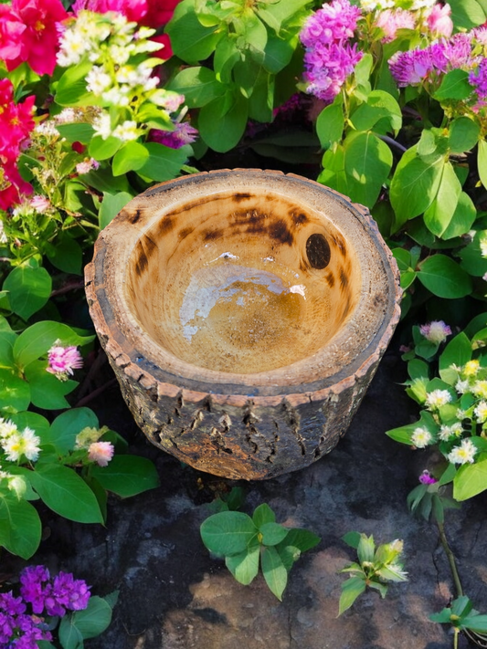 Poplar Live Edge Dish