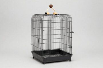Best Large Bird Cages for Safe, Comfortable Housing