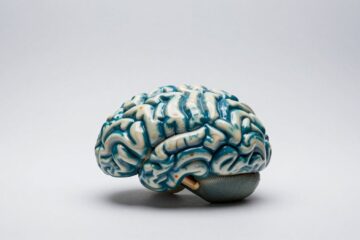 Escape Tsunami Brainrots Wave Wednesday Guide